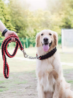 c9ef055d-4fdb-4080-a70c-5e2417b4df50-Max-Origin