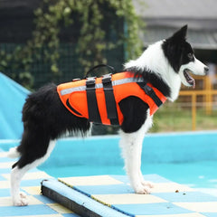 Tailup Pet Training Gear for Dogs - Cooling Life Jacket